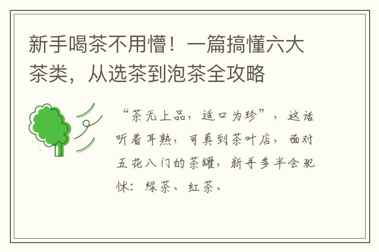 新手喝茶不用懵！一篇搞懂六大茶类，从选茶到泡茶全攻略