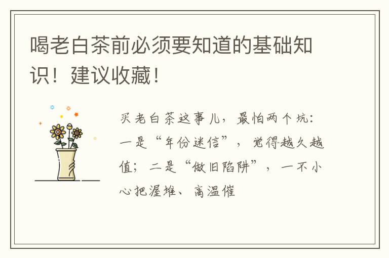 喝老白茶前必须要知道的基础知识!建议收藏!