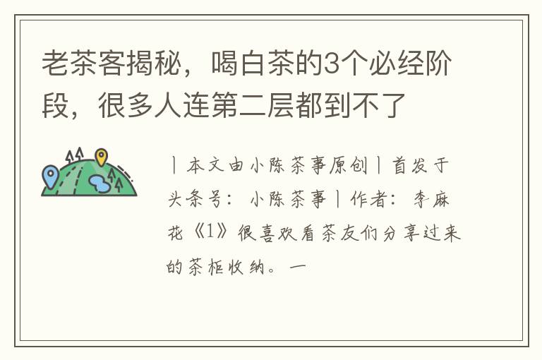 老茶客揭秘,喝白茶的3个必经阶段,很多人连第二层都到不了