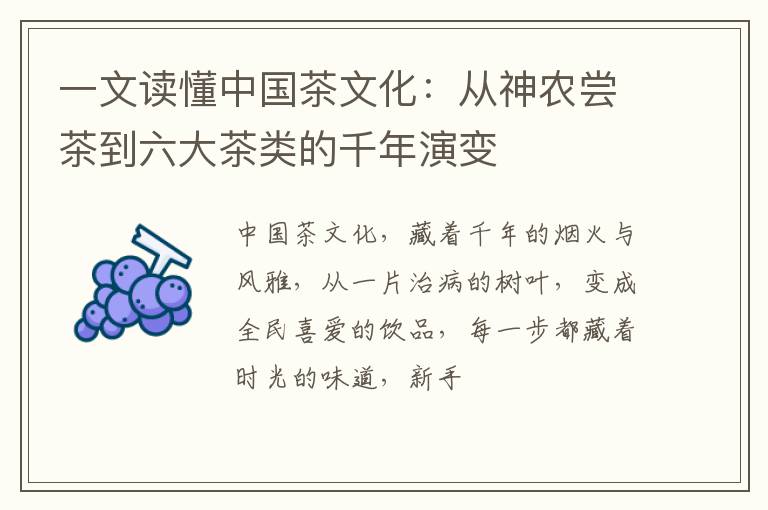 一文读懂中国茶文化：从神农尝茶到六大茶类的千年演变