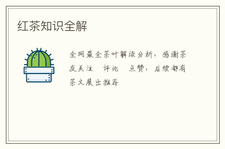 红茶知识全解