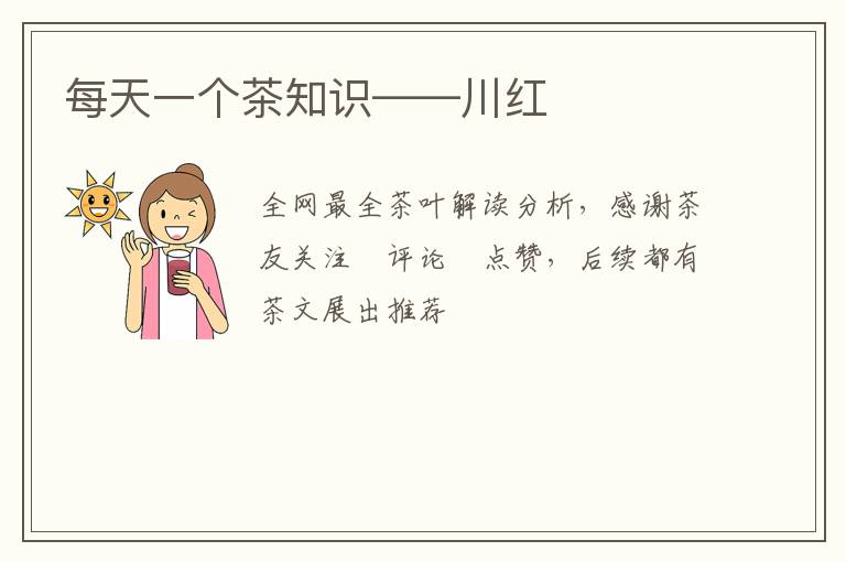 每天一个茶知识——川红