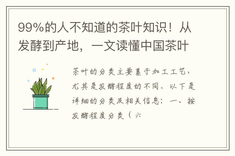 99％的人不知道的茶叶知识！从发酵到产地，一文读懂中国茶叶