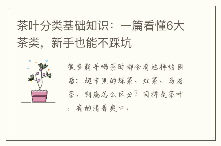 茶叶分类基础知识：一篇看懂6大茶类，新手也能不踩坑