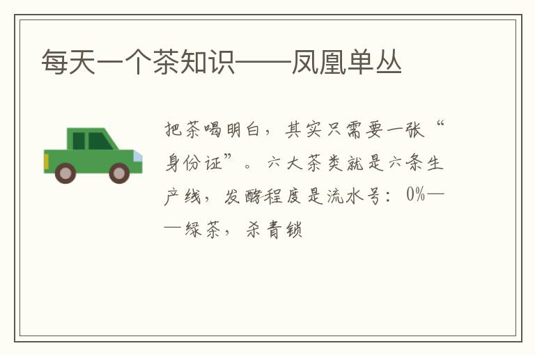 每天一个茶知识——凤凰单丛