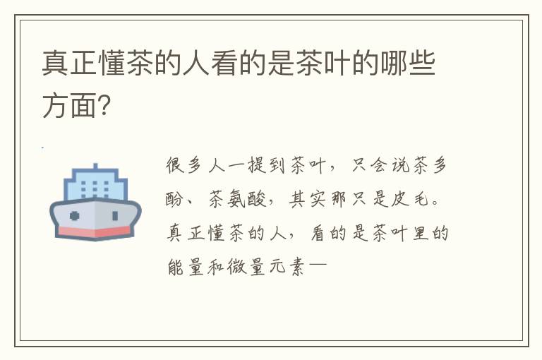 真正懂茶的人看的是茶叶的哪些方面?