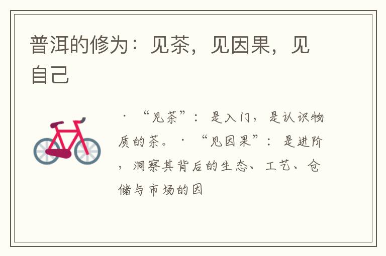 普洱的修为:见茶,见因果,见自己