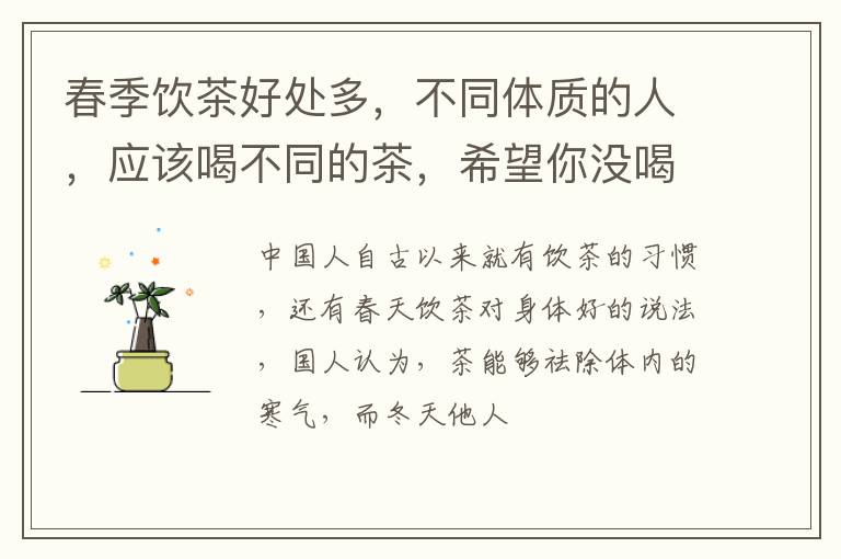 春季饮茶好处多，不同体质的人，应该喝不同的茶，希望你没喝错