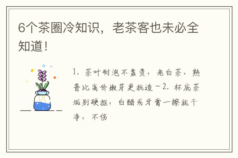 6个茶圈冷知识，老茶客也未必全知道！