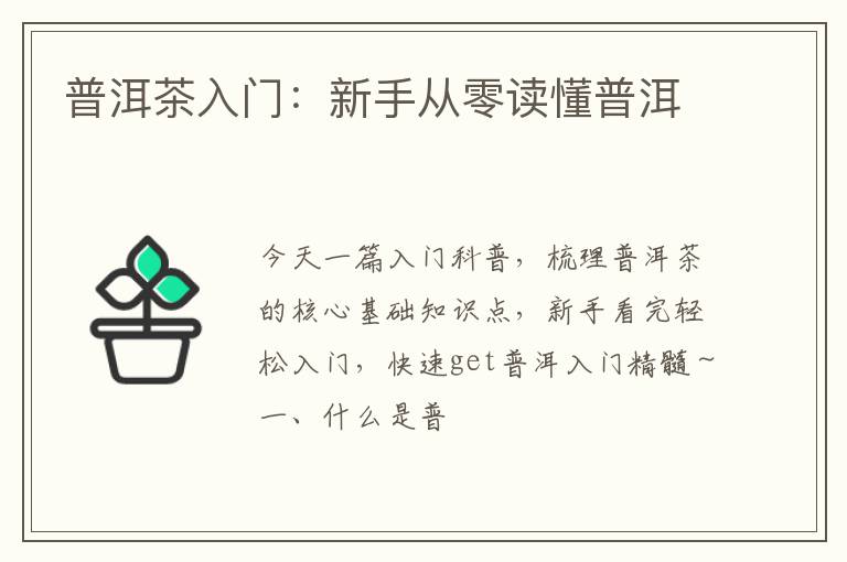 普洱茶入门：新手从零读懂普洱