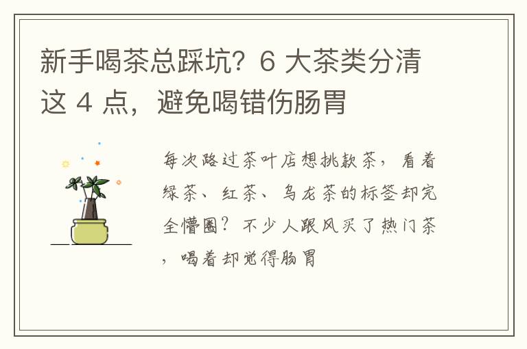 新手喝茶总踩坑?6 大茶类分清这 4 点,避免喝错伤肠胃