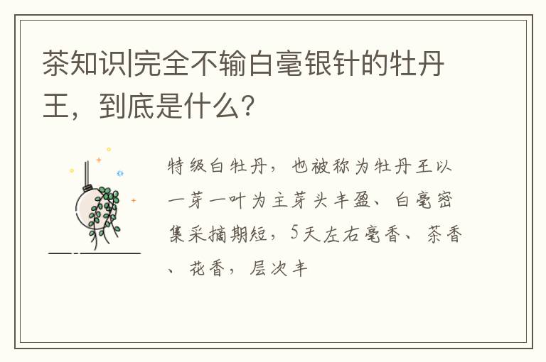 茶知识|完全不输白毫银针的牡丹王，到底是什么?