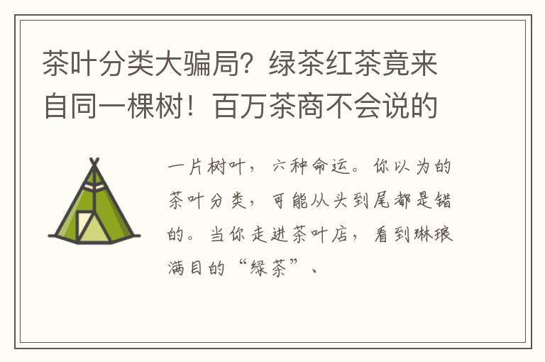 茶叶分类大骗局？绿茶红茶竟来自同一棵树！百万茶商不会说的秘密