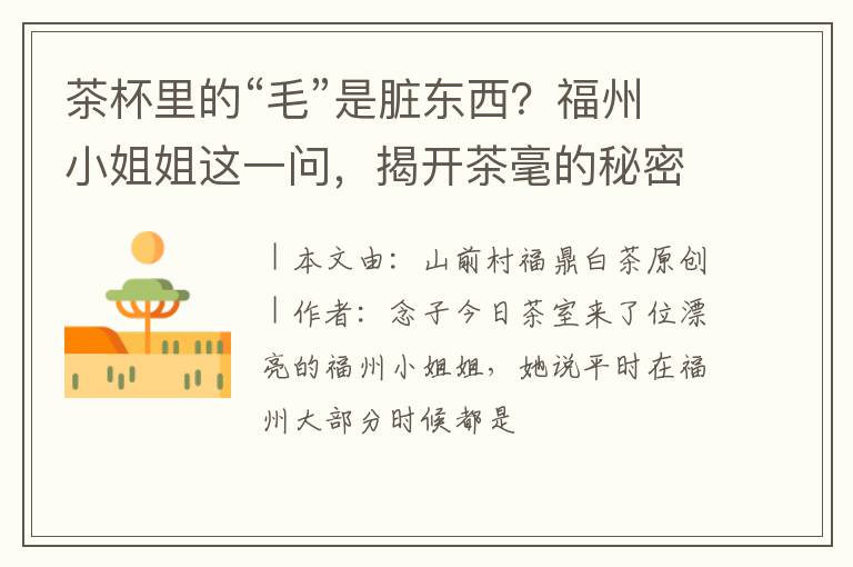 茶杯里的“毛”是脏东西？福州小姐姐这一问，揭开茶毫的秘密