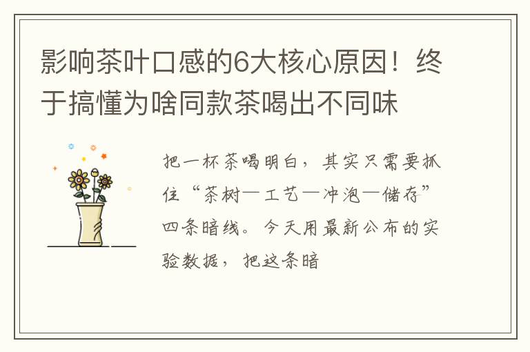 影响茶叶口感的6大核心原因！终于搞懂为啥同款茶喝出不同味