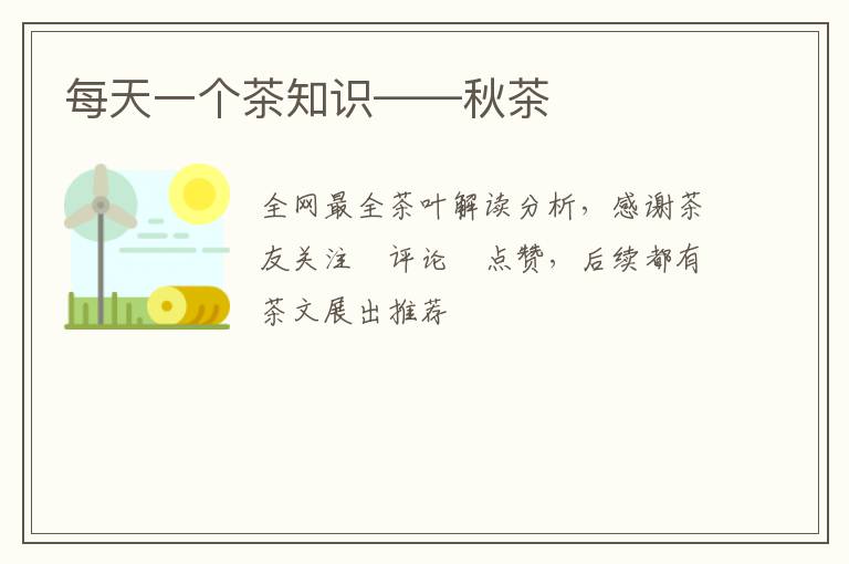 每天一个茶知识——秋茶