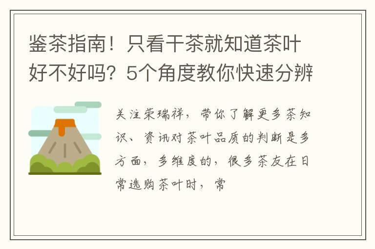 鉴茶指南！只看干茶就知道茶叶好不好吗？5个角度教你快速分辨