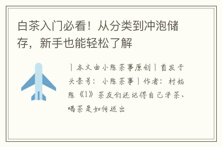 白茶入门必看！从分类到冲泡储存，新手也能轻松了解