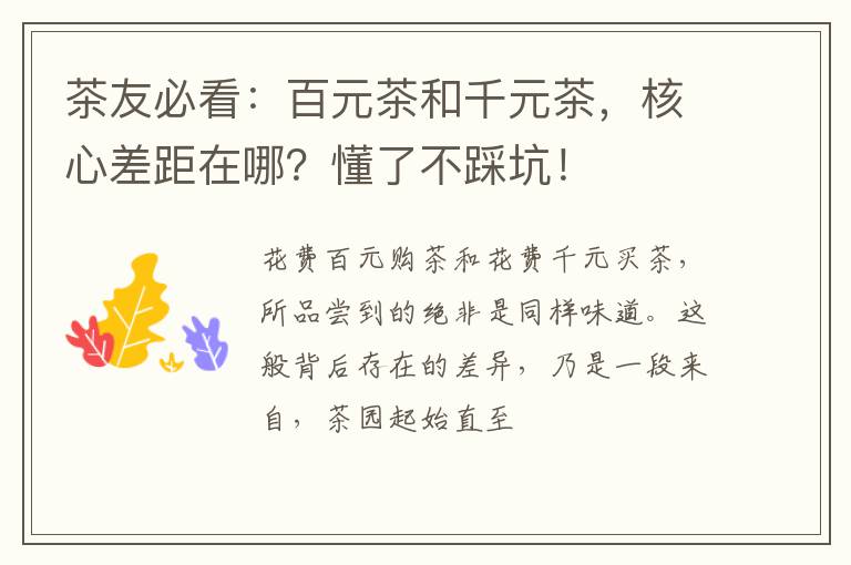 茶友必看：百元茶和千元茶，核心差距在哪？懂了不踩坑！