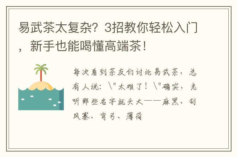 易武茶太复杂?3招教你轻松入门,新手也能喝懂高端茶!