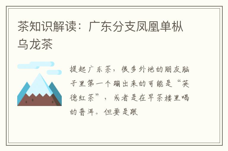 茶知识解读：广东分支凤凰单枞乌龙茶