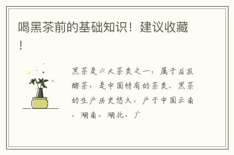 喝黑茶前的基础知识!建议收藏!