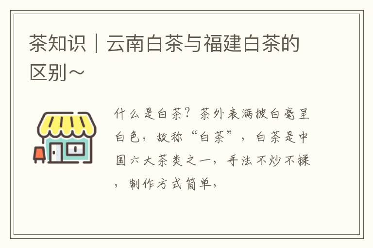 茶知识|云南白茶与福建白茶的区别~