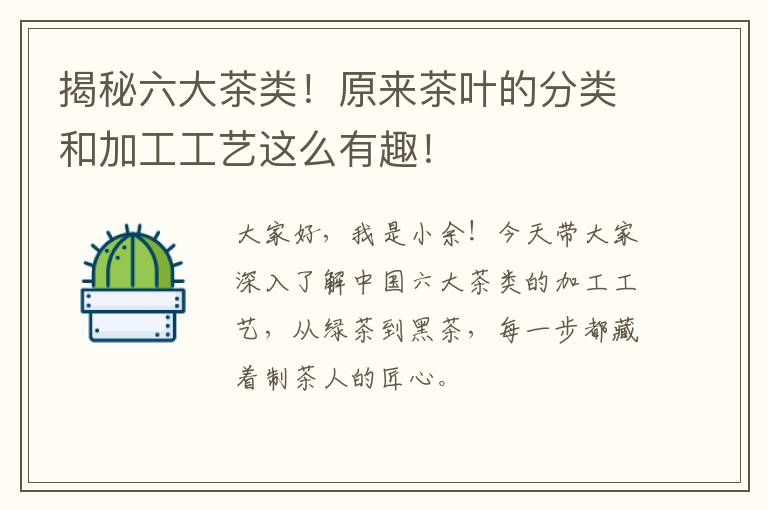 揭秘六大茶类！原来茶叶的分类和加工工艺这么有趣！