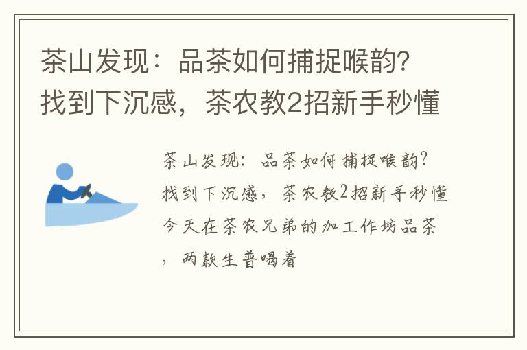 茶山发现：品茶如何捕捉喉韵？找到下沉感，茶农教2招新手秒懂