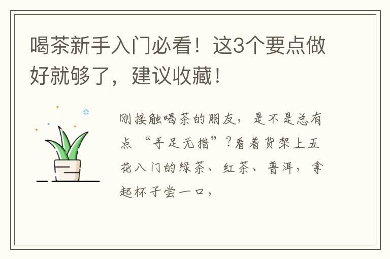 喝茶新手入门必看!这3个要点做好就够了,建议收藏!