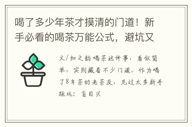 喝了多少年茶才摸清的门道！新手必看的喝茶万能公式，避坑又实用