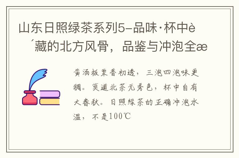 山东日照绿茶系列5-品味·杯中蕴藏的北方风骨，品鉴与冲泡全攻略