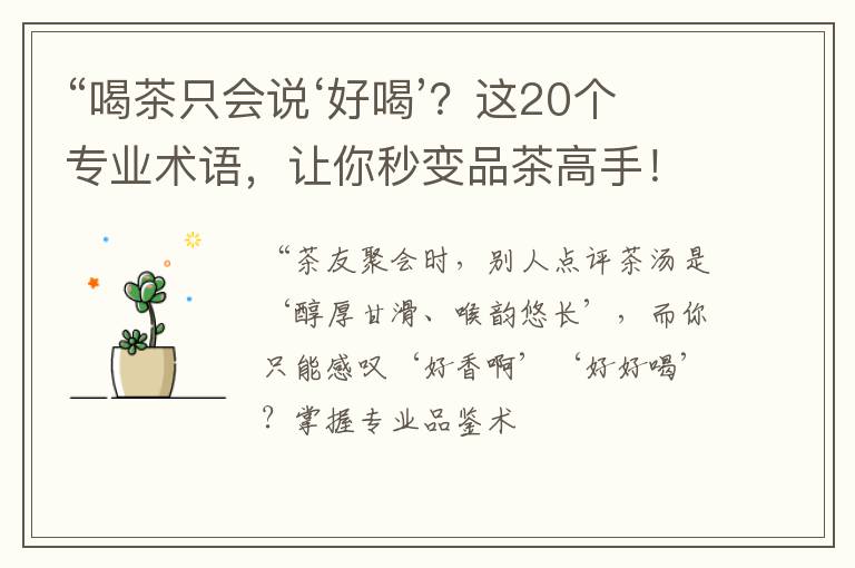 “喝茶只会说‘好喝’？这20个专业术语，让你秒变品茶高手！”