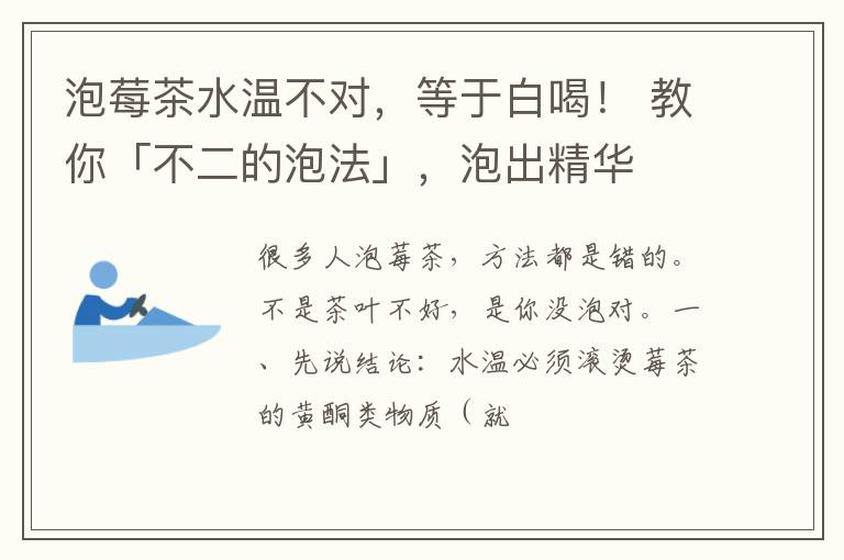 泡莓茶水温不对，等于白喝！ 教你「不二的泡法」，泡出精华