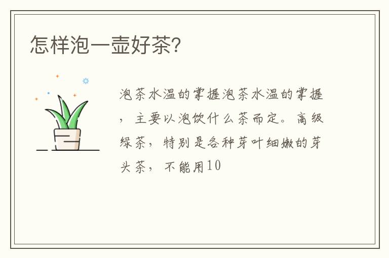 怎样泡一壶好茶？