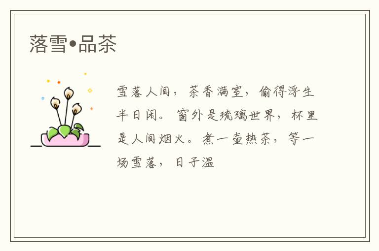 落雪•品茶