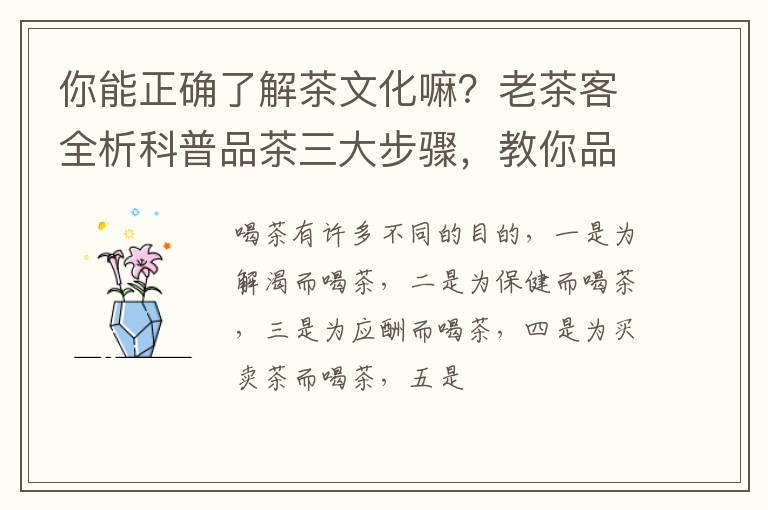 你能正确了解茶文化嘛？老茶客全析科普品茶三大步骤，教你品茗