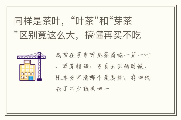 同样是茶叶，“叶茶”和“芽茶”区别竟这么大，搞懂再买不吃亏