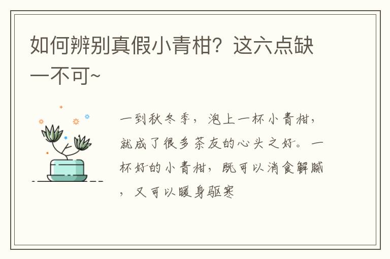 如何辨别真假小青柑？这六点缺一不可~