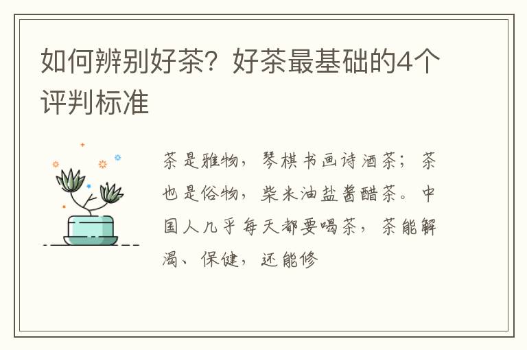 如何辨别好茶？好茶最基础的4个评判标准