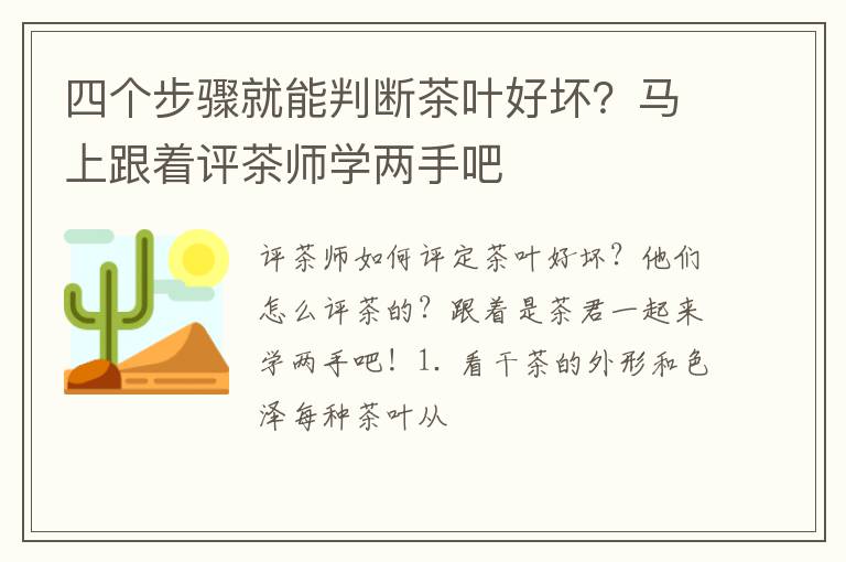 四个步骤就能判断茶叶好坏？马上跟着评茶师学两手吧