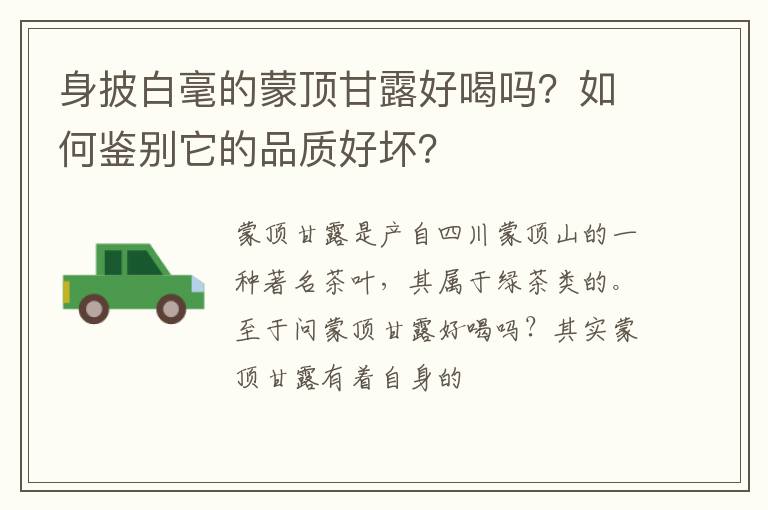 身披白毫的蒙顶甘露好喝吗?如何鉴别它的品质好坏?