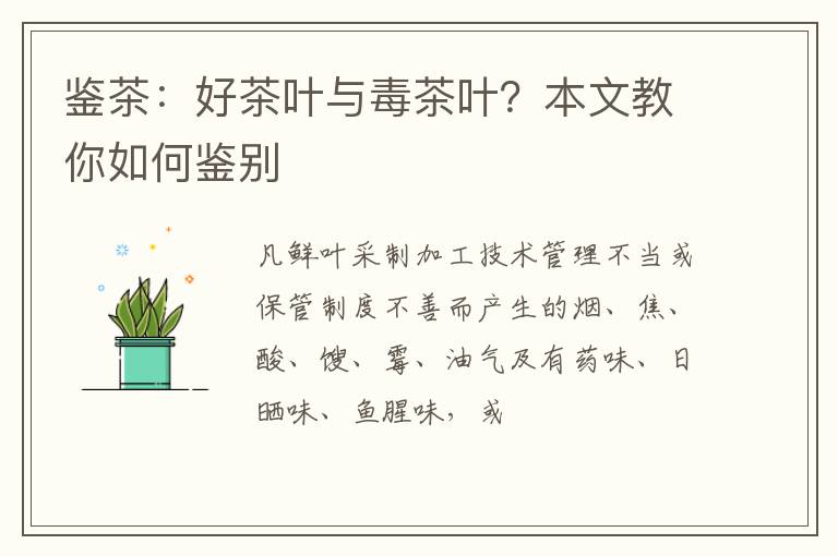 鉴茶：好茶叶与毒茶叶？本文教你如何鉴别