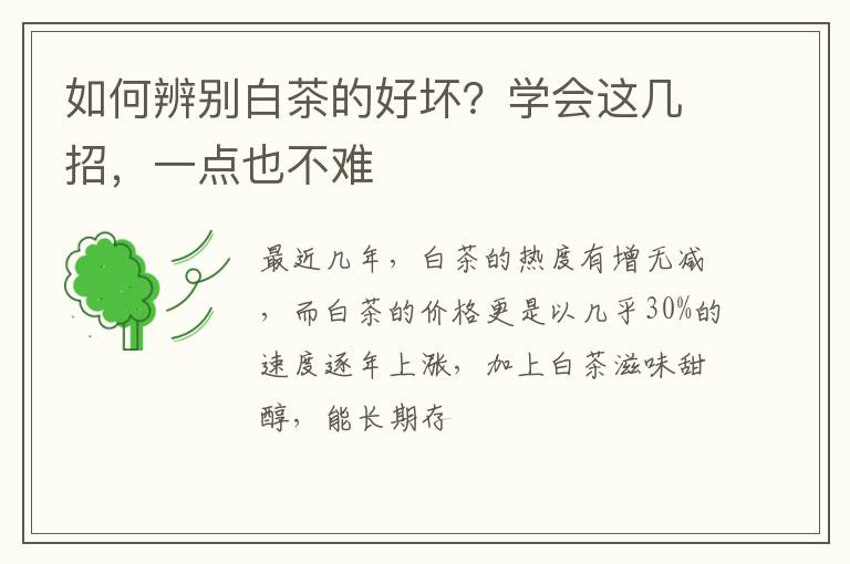 如何辨别白茶的好坏？学会这几招，一点也不难