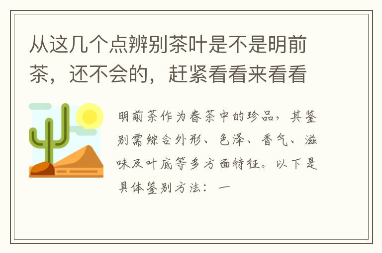从这几个点辨别茶叶是不是明前茶,还不会的,赶紧看看来看看吧