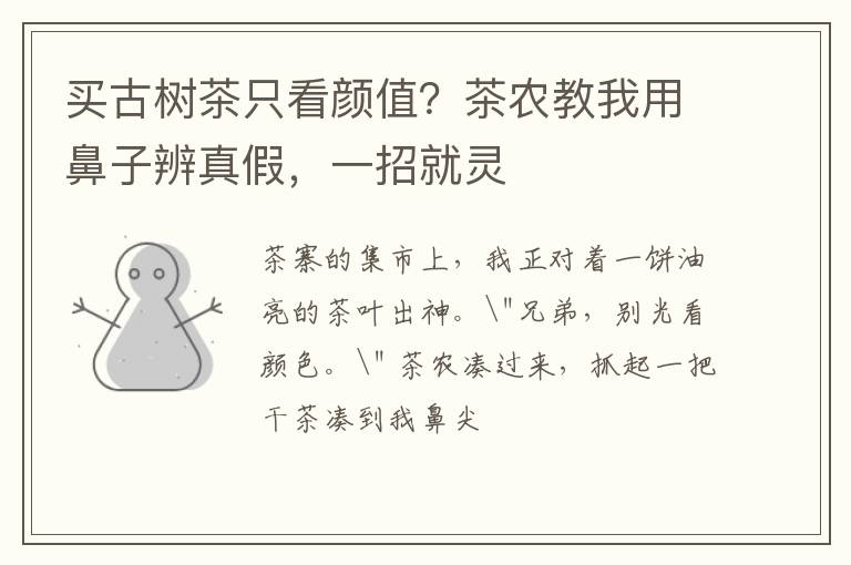 买古树茶只看颜值?茶农教我用鼻子辨真假,一招就灵