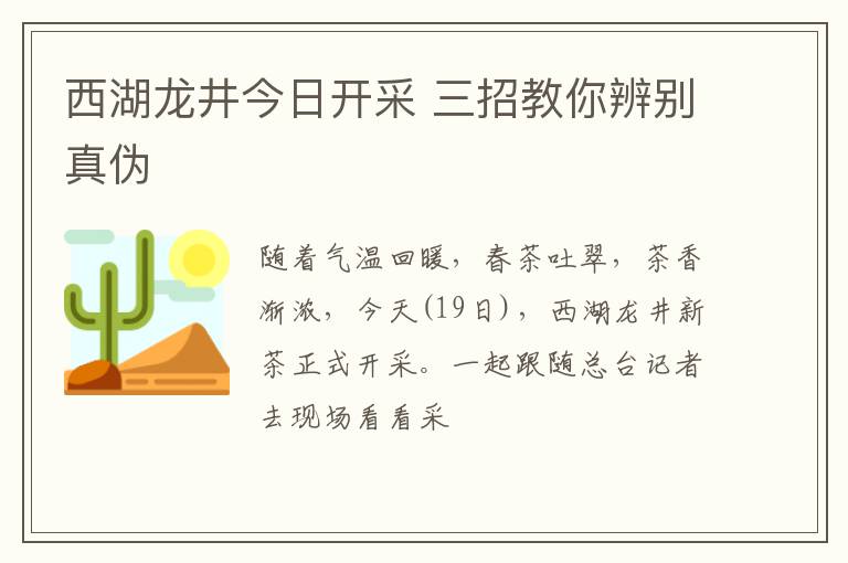 西湖龙井今日开采 三招教你辨别真伪