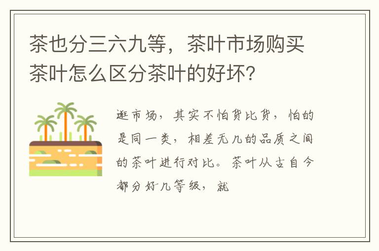 茶也分三六九等,茶叶市场购买茶叶怎么区分茶叶的好坏?