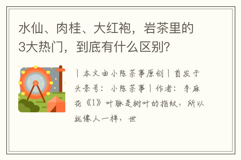 水仙、肉桂、大红袍,岩茶里的3大热门,到底有什么区别?