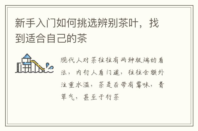 新手入门如何挑选辨别茶叶,找到适合自己的茶